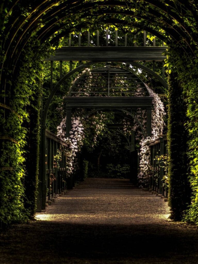 Elevating Your Outdoor Oasis with Lizzy’s Nursery and Flowers