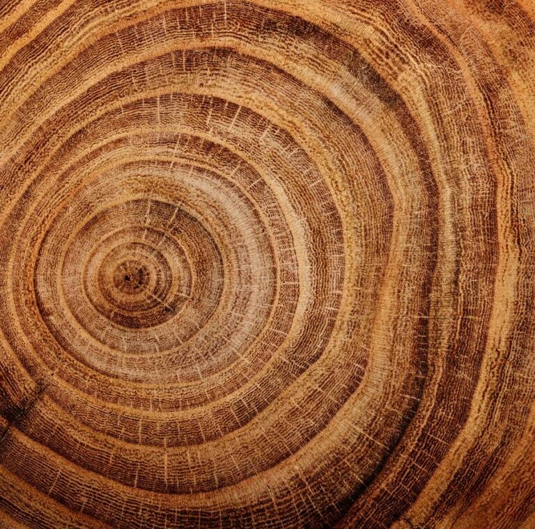 Nurturing Your Gardening Passion