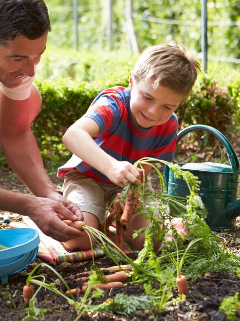 Discover the Joys of Gardening with Lizzy’s Nursery and Flowers